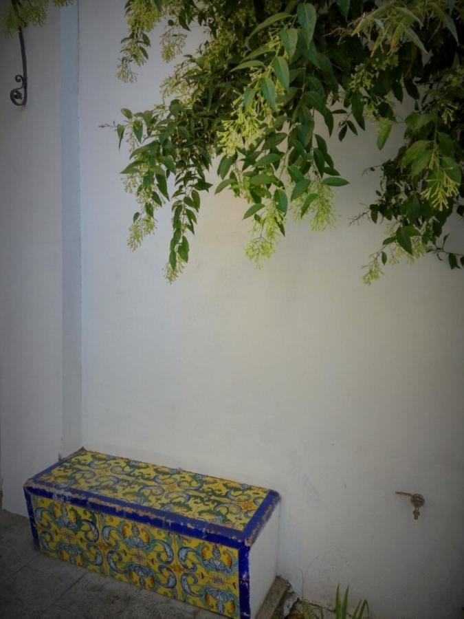 Apartment Alacas Sevilla المظهر الخارجي الصورة