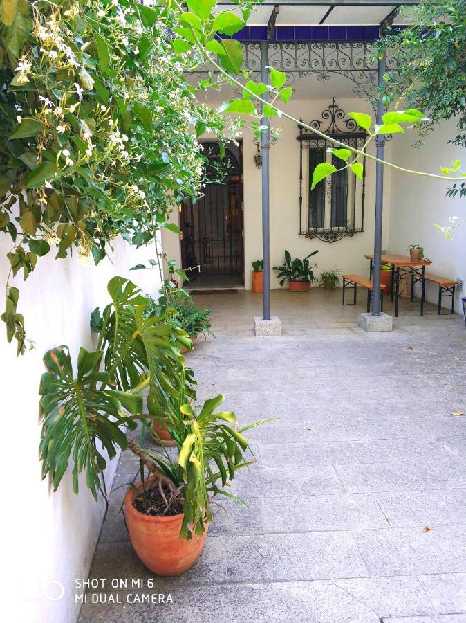 Apartment Alacas Sevilla المظهر الخارجي الصورة