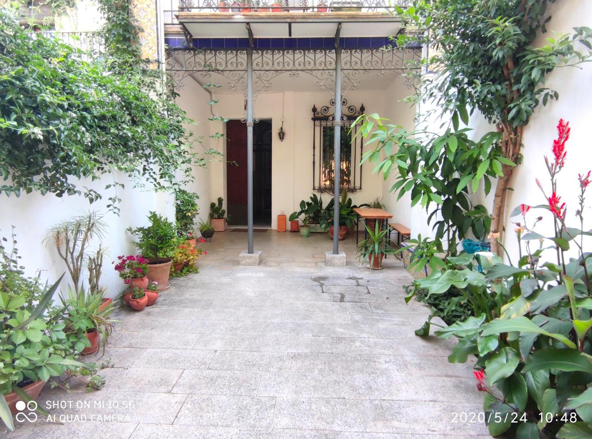 Apartment Alacas Sevilla المظهر الخارجي الصورة